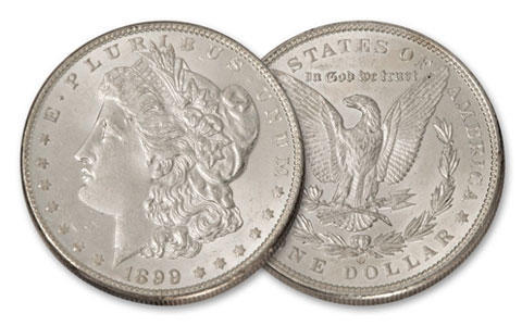 sell-morgan-dollar-estate-coin-collection-algonquin